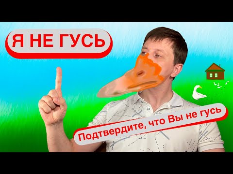 Видео: Что не так с REDBUBBLE? Или почему у меня не получилось зарегистрировать магазин