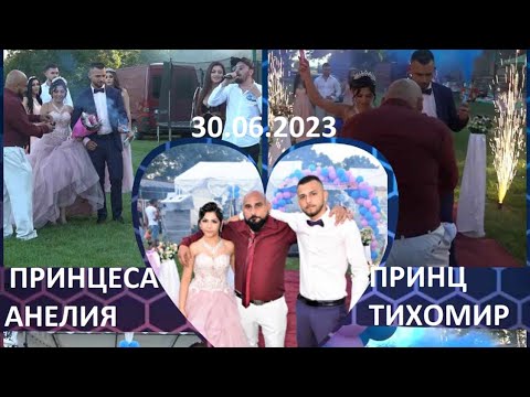 Видео: Бал на Тихомир и Анелия - Азис груп , Алийко , Силви , Медковец