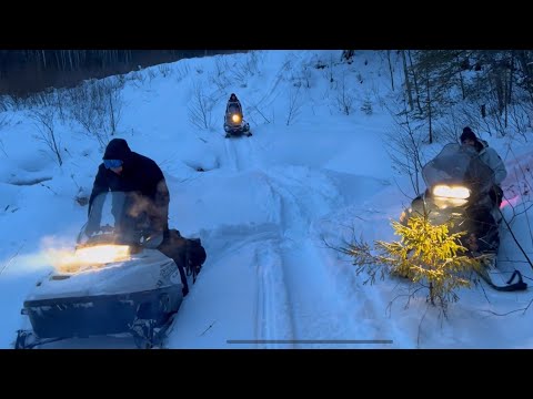 Видео: Утилитарные снегоходы в лесу,snowmobile Polaris widetrak,Yamaha viking,Brp Lynx yeti 59,69 army ace