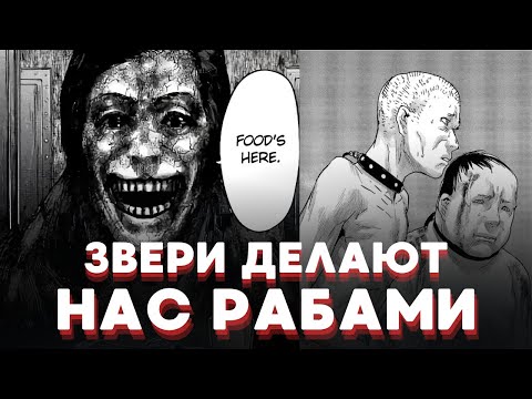 Видео: ЧУДОВИЩНАЯ ПРАВДА О ЖИВОТНЫХ С ЧЕЛОВЕЧЕСКИМИ ЛИЦАМИ I Пересказ манги "Дзинмен" (2 часть)