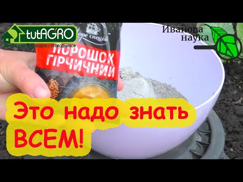 Видео: ИЗБАВИТЬСЯ ОТ ТЛИ и БЛОШКИ НАТУРАЛЬНО и БЕСПЛАТНО. Мифы и реальность про "забудьте о тле навсегда".
