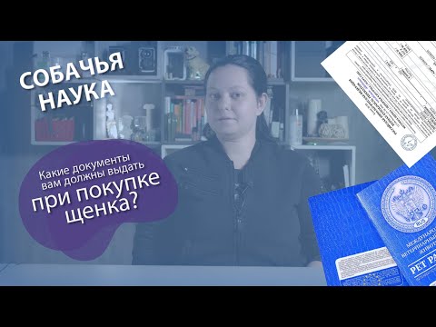 Видео: Какие документы вам должны дать при покупке породистого щенка