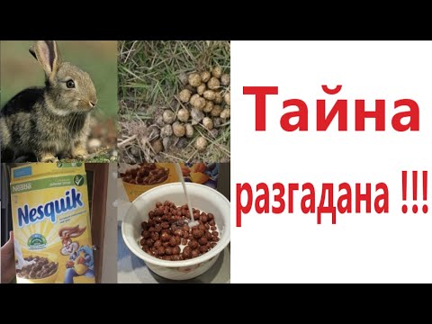 Видео: ПРИКОЛЫ! ТАЙНА РАЗГАДАНА!!! Угарные МЕМЫ, смешные истории от Доми шоу!