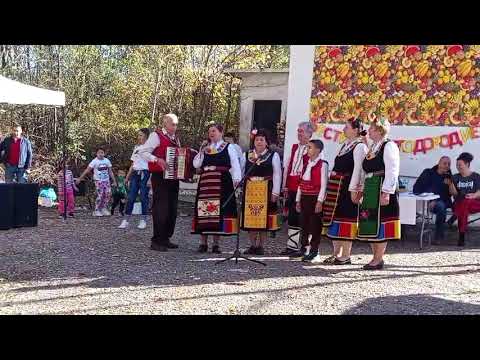 Видео: 3 ноември 2025 г.