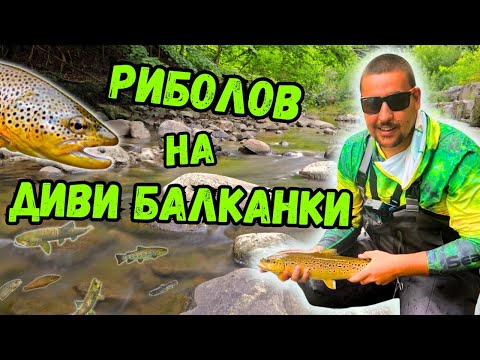 Видео: Риболов на Диви Балканки 🟡🔴