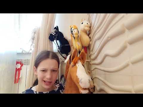 Видео: Обзор на моих хоббихорсов / переехала ?