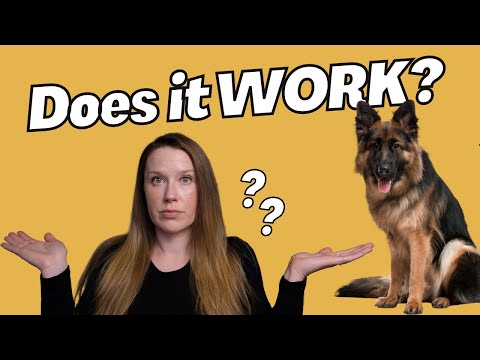 Видео: Что такое дрессировка собак без принуждения и работает ли она на самом деле?