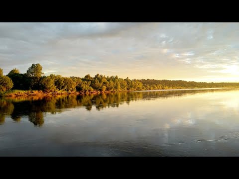 Видео: Рыбалка с ночёвкой! Были пойманы разные виды рыб. Попался даже подуст!