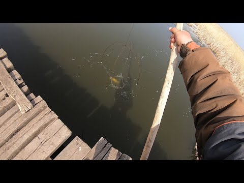 Видео: УДАЧНАЯ РЫБАЛКА НА ПАУК(ПОДЪЁМНИК) С МОСТА)))