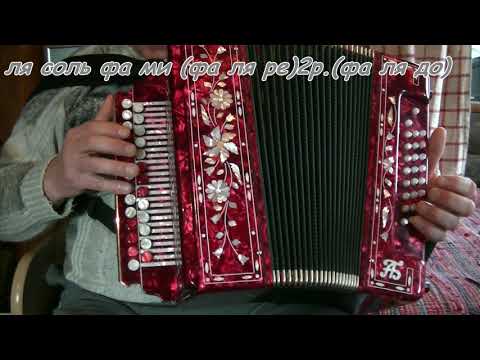 Видео: Песенка шофера, видеоразбор(ноты,цифры) на гармони.