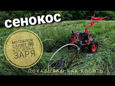 Видео: Сенокос. Мотоблок салют 100 и косилка Заря. Меняю масло. Убираю траву с участка. Мой способ.