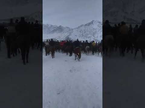 Видео: Бузкаши дар точикобод 19 01 2020