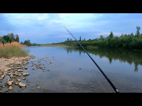 Видео: Рибалка На ПРУТІ в ЛИПНІ
