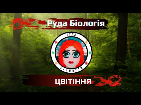 Видео: Водорості. ЦВІТІННЯ води (Руда біологія)