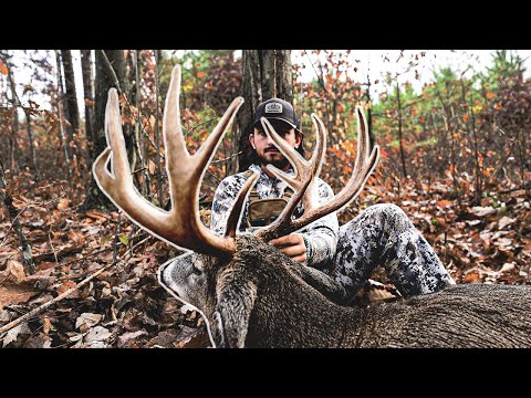 Видео: Огайо, стрельба из лука (кошки-мышки с индюшиной лапкой)