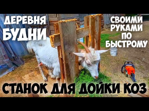 Видео: ДЕРЕВНЯ.ДЕЛАЕМ СТАНОК ДЛЯ ДОЙКИ КОЗ.
