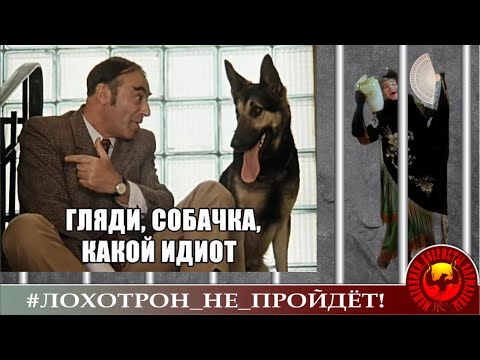 Видео: Мошенник беспощаден...Розе корячится срок.