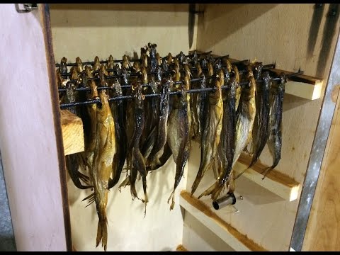 Видео: ХОЛОДНОЕ КОПЧЕНИЕ РЫБЫ / ГОТОВИМ РЕЧНУЮ РЯПУШКУ / ДЫМОГЕНЕРАТОР ХОББИ СМОК