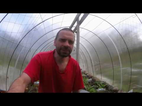 Видео: Самый простой капельный полив (полив по-нищебродски) The easiest drip irrigation