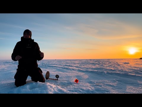 Видео: ПОРЫБАЧИЛ НА СУДАКА! ЗАКОПТИЛ ОКУНЯ В ПАЛАТКЕ!