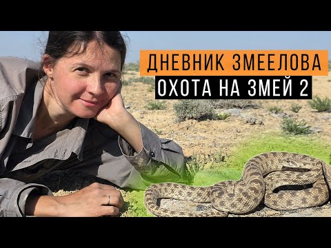 Видео: ОХОТА за ЧЕШУЕЛОБЫМ ПОЛОЗОМ в Казахстане / Змеелов - ученый