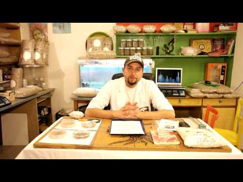 Видео: выращивание вешенки, очень полезные советы 2