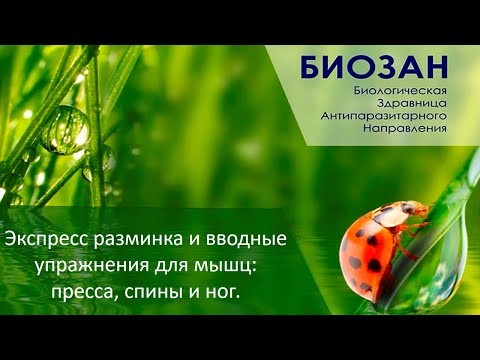 Видео: АПМ (экспресс разминка и вводные упражнения для мышц: пресса, спины, ног.)