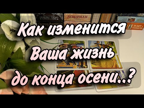 Видео: 🍂Все ИЗМЕНИТСЯ до конца ОСЕНИ🍁❓