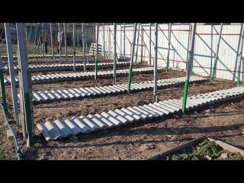 Видео: Укрытие винограда 22 ноября 2019