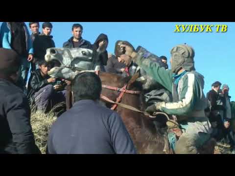 Видео: БУЗКАШИ дар н Ховалинг д Садбарго кисми 4 02 01 2021 г. УЛОК Купкари