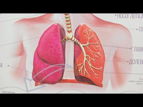 Видео: Как вейп может привести к смерти? Болезнь вейперов и мифы о безопасности электронных сигарет