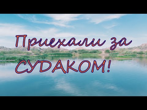 Видео: За СУДАКОМ на НУРУ, рыбалка на речке и ее разливах и карьерах.