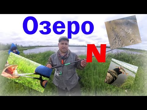 Видео: Озеро N в лесу.