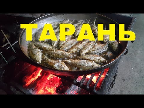 Видео: ЖАРЕНАЯ РЫБА ТАРАНЬ С ЛУКОВЫМИ КОЛЬЦАМИ РЕЦЕПТ СЮФ