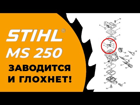 Видео: БЕНЗОПИЛА ШТИЛЬ MS250 ЗАВОДИТСЯ И ГЛОХНЕТ! ЧТО ДЕЛАТЬ? бензопила штиль 250