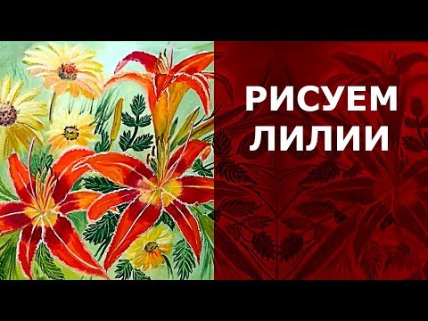 Видео: 🌼 как нарисовать лилии, как нарисовать кореопсисы, как нарисовать цветы