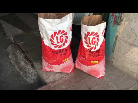 Видео: Семена подсолнечника тунка и лг 59580 на сезон 2020