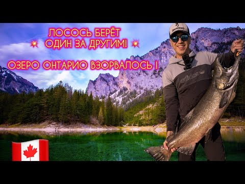 Видео: ЛОСОСЕВАЯ БИТВА НА ОНТАРИО! 🎣Фрикцион визжит и поклёвки одна за другой! (Часть 1)