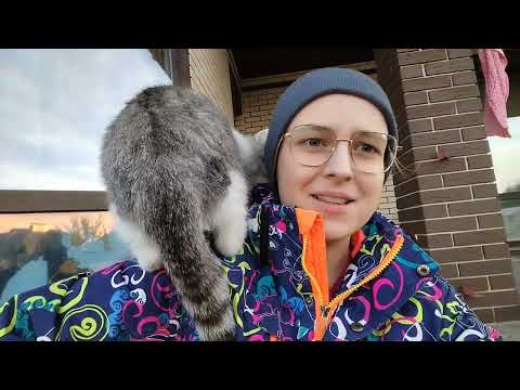 Видео: VLOG Сёма - обезьянка?🐒 Лечим аллергию🤧