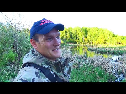 Видео: КАРАСЬ В ЛУЖЕ!!! АДСКИЙ КЛЁВ НА АС51! РЫБАЛКА НА НЕРВАХ!😤