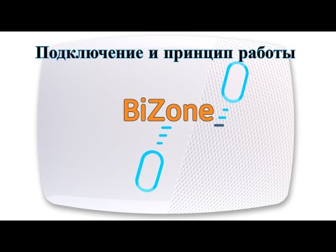 Видео: Bizone. Подключение и основной принцип работы