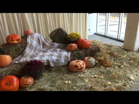 Видео: Івано-Франківськ