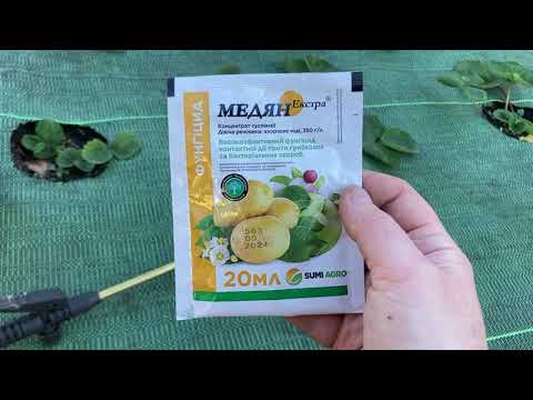 Видео: Обприскуємо полуницю перед зимою