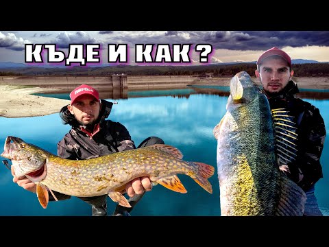 Видео: КЪДЕ и КАК  ДА ЛОВИМ УСПЕШНО ХИЩНИЦИ ???