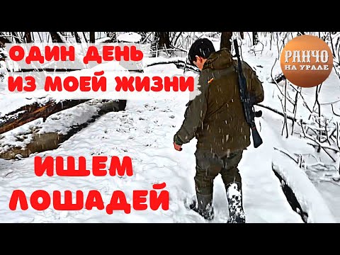 Видео: Как проходит мой день?Весь день искали наших лошадей/Один день из жизни Фермера