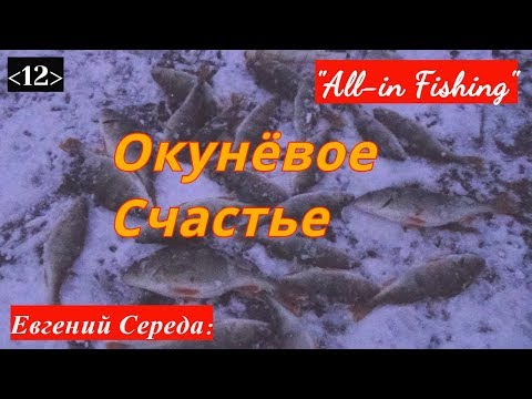 Видео: Окунёвое счастье. "All-in Fishing". Вып. 12.