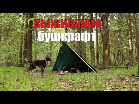 Видео: Советы по выживанию в лесу и бушкрафту