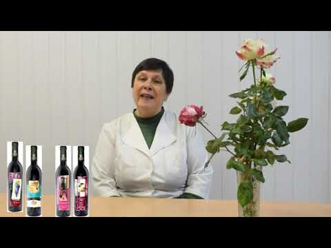 Видео: Привітання з Днем виноградаря і винороба