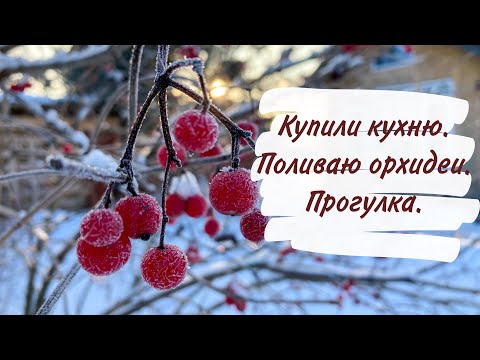 Видео: Переехали из города в медвежий угол.  Купили кухню. Поливаю орхидеи. Прогулка.