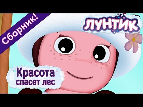 Видео: Лунтик - 😍 Красота спасет лес!🌹✨ Сборник 2017 года